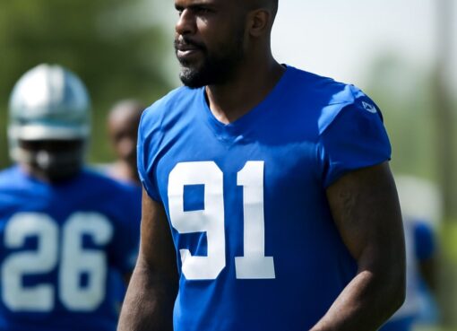 NFC North Blog: A Diverse Exploration Across Blogging Niches