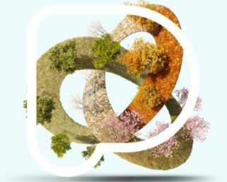 Mint News Blog: Crafting Compelling Content