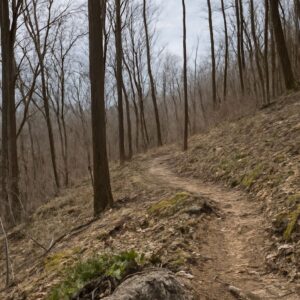 Appalachian Trail Blog: Exploring Nature and Adventure