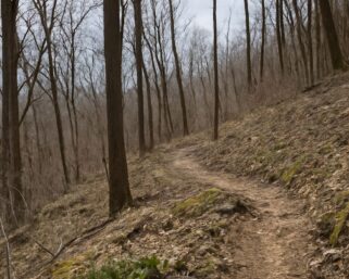 Appalachian Trail Blog: Exploring Nature and Adventure