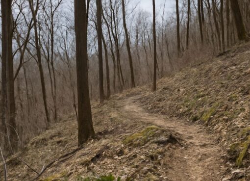 Appalachian Trail Blog: Exploring Nature and Adventure