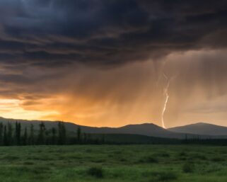 Wether or Whether: A Grammar Guide